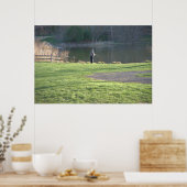 Poster Pêche à la mouche à l'étang (Cuisine)