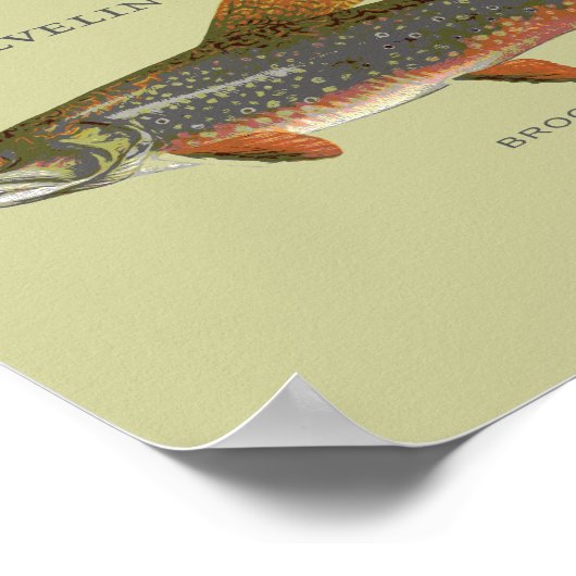 Poster Pêche à la truite broyée (Coin)