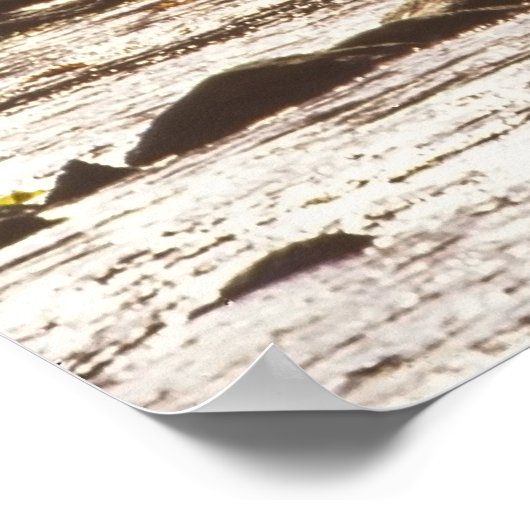 Poster Pêche À La Volée En Automne - (Coin)