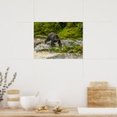 Poster Pêche à l'ours noir | Qua Creek Colombie-Britanniq (Cuisine)