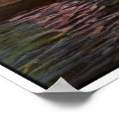 Poster Pêche au camion 1910 (Coin)