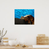 Poster Pêche au Catalogue (Cuisine)