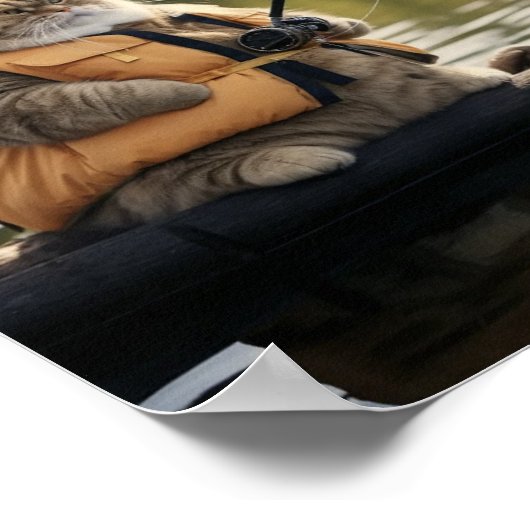 Poster Pêche au chat gras (Coin)