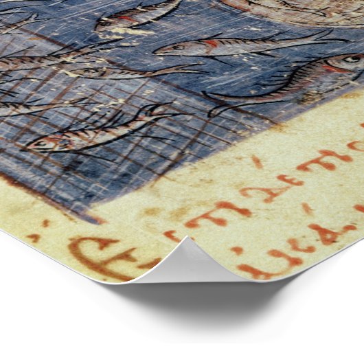 Poster Pêche avec filet (Coin)