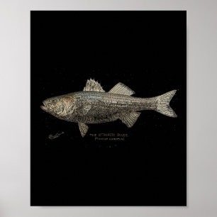Poster Pêche B rayée 
