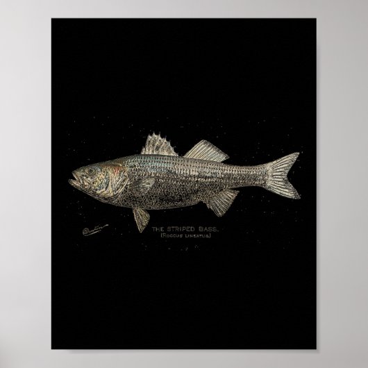 Poster Pêche B rayée (Devant)