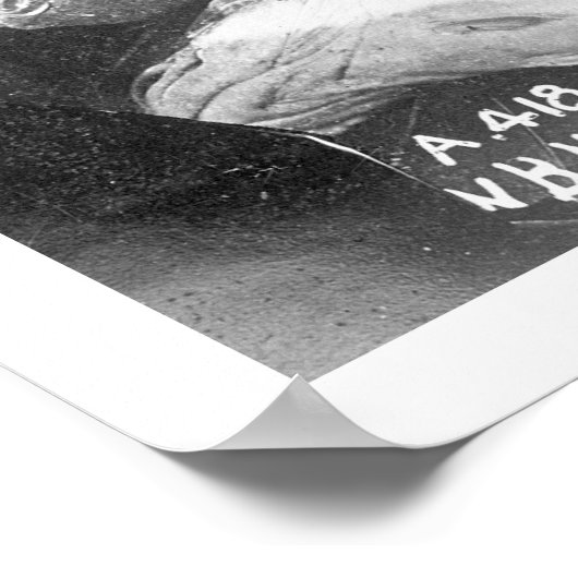 Poster Pêche En Alaska 1922 (Coin)