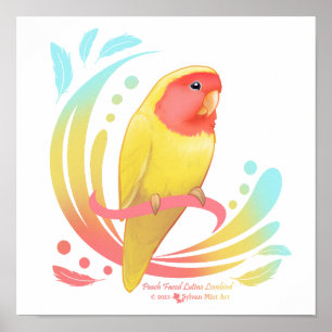 Poster Pêche face Lutino Lovebird