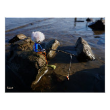 Pêche Fubby sur une pierre.