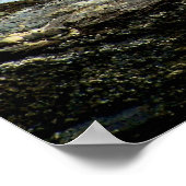 Poster Pêche terminée (Coin)