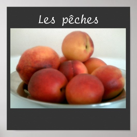 Poster pêche vie morte (Devant)