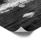 Poster Pêcher les compétences de référence : 1890 (Coin)