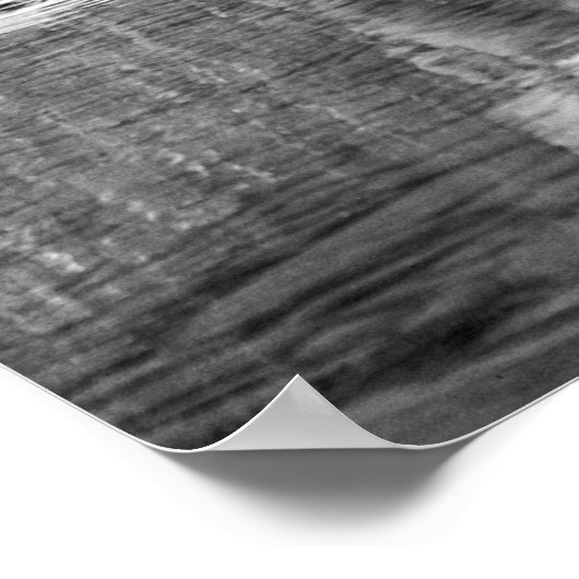 Poster Pêcher les compétences de référence : 1890 (Coin)