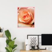 Poster Pêcher Rose Apricot Roses Fleurs Florales Photo (Bureau à domicile)