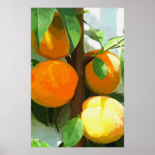 POSTER PÊCHES (Devant)