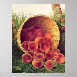 Poster Pêches déversées