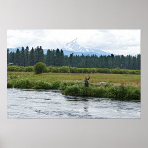 Poster Pêcheur à la mouche sur la rivière Metolius, Orego