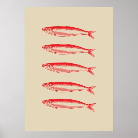 Poster Pêcheur de Sardines (Devant)