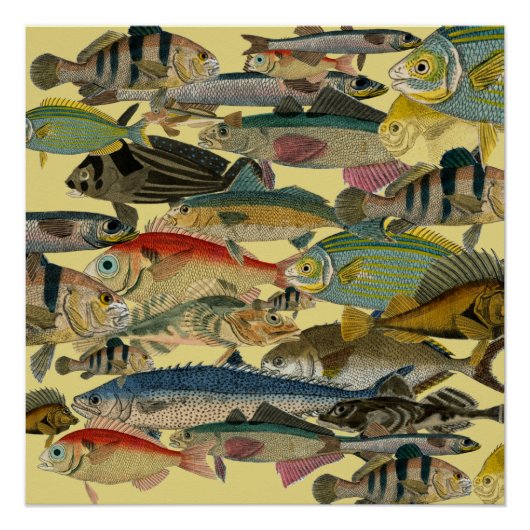 Poster Pêcheur Pêcheur En Mer Profonde Pêche Exotique Tro (Devant)