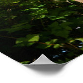 Poster Pêcheur sur un totem, Alaska (Coin)