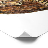 Poster Pêcheurs d'hommes, Écriture, Inspiration, Leopard (Coin)