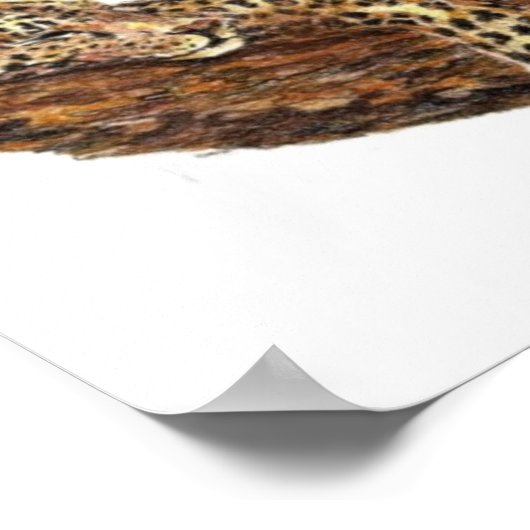 Poster Pêcheurs d'hommes, Écriture, Inspiration, Leopard (Coin)