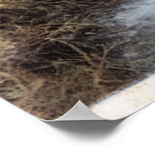 Poster Pêcheurs Pêche à Commonwealth Creek (Coin)