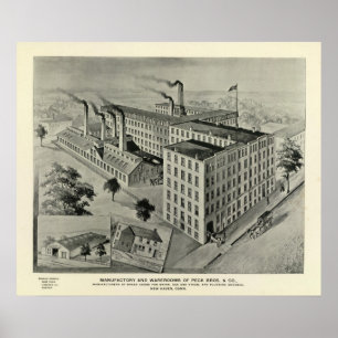 Poster Peck Bros & Co