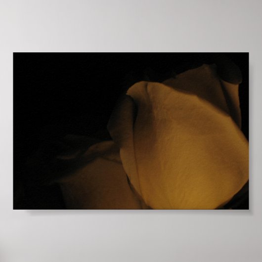 Poster Pédales d'un rose (Devant)