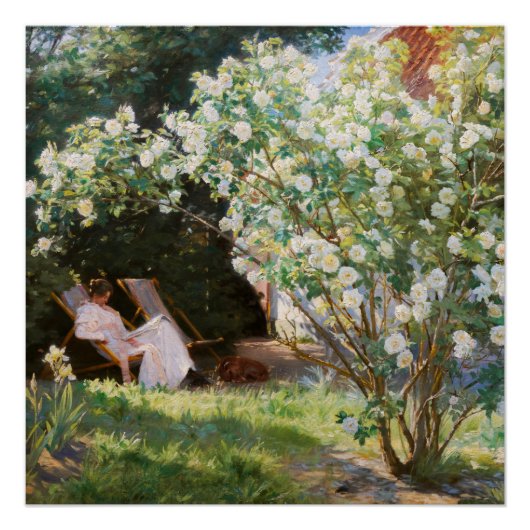 Poster Peder Severin Kroyer - Roses (Devant)