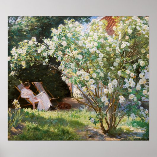 Poster Peder Severin Kroyer - Roses (Devant)