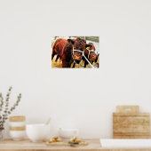 Poster Pedigree Red Ruby Devon Cow (Cuisine)