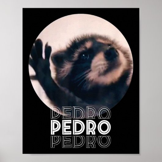Poster Pedro Racoon Danse Populaire Mème Internet Mapache (Devant)