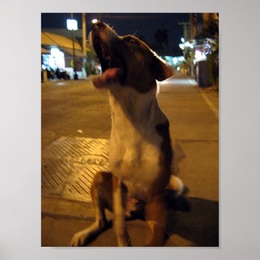 Poster Pee Mai... Soi Dog, Thaïlande (Devant)