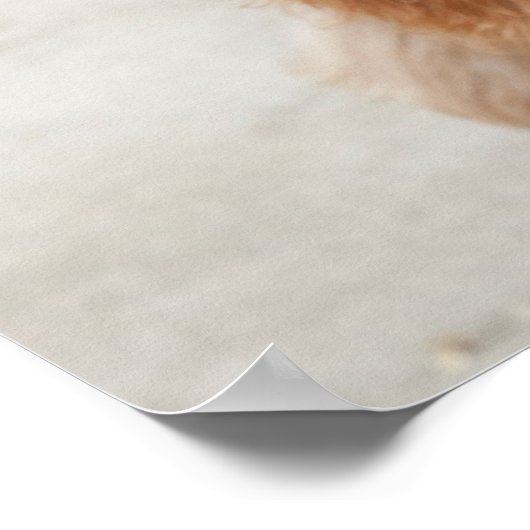 Poster Peecing de Goldendoodle (Coin)