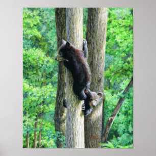 Poster Peek-a-Bear