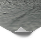 Poster Peek-a-Boo Teddy (Coin)