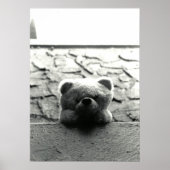 Poster Peek-a-Boo Teddy (Devant)