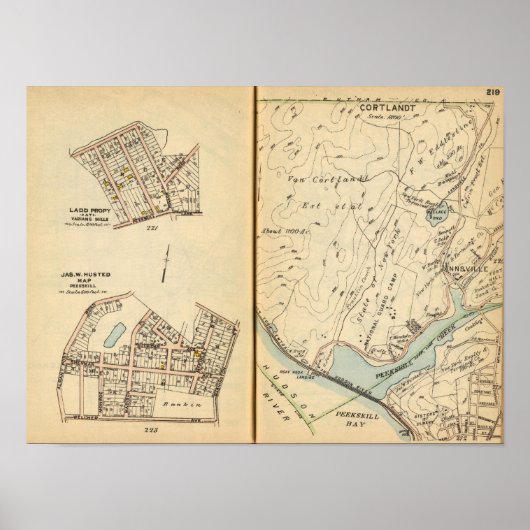 Poster Peekskill, New York 2 (Devant)