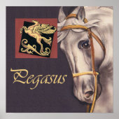 Poster Pégase (Devant)