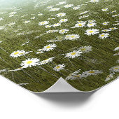 Poster Pégase dans les marguerites (Coin)