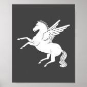Poster Pegasus (Devant)