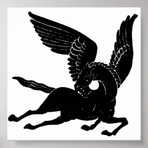 Poster Pegasus