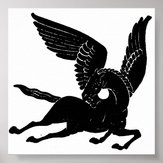 Poster Pegasus (Devant)