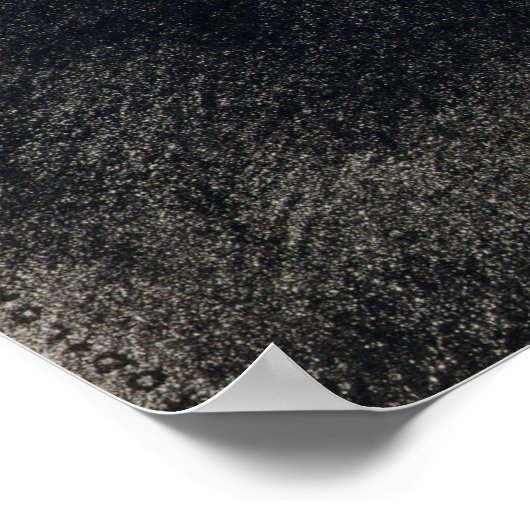 Poster Pegasus (Coin)