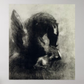 Poster Pegasus (Devant)