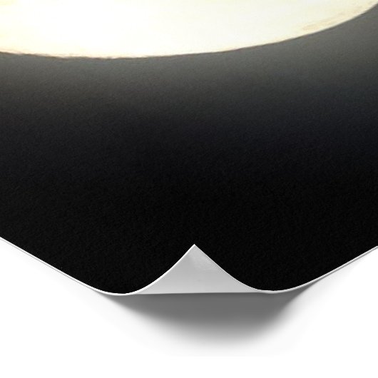 Poster Pegasus (Coin)