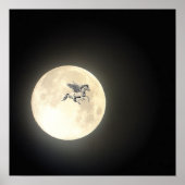 Poster Pegasus (Devant)