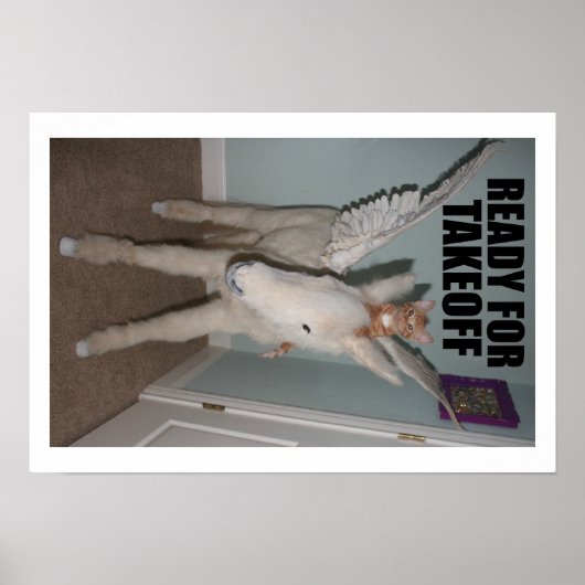 Poster PEGASUS and Hunter S. Thomcat (Devant)