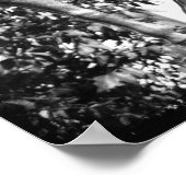 Poster Pegasus en Grunge noir et blanc (Coin)